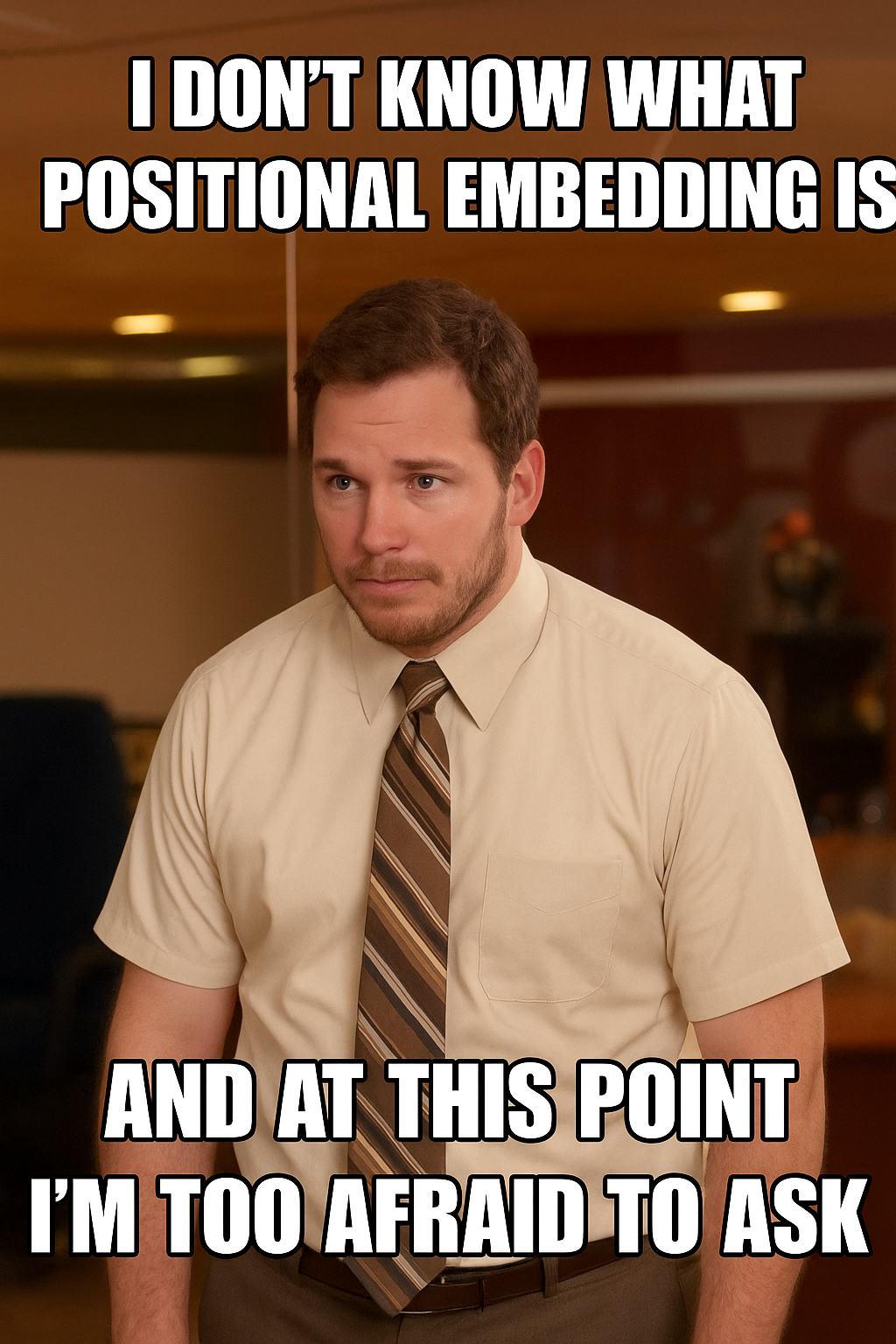 Positional Embedding Meme